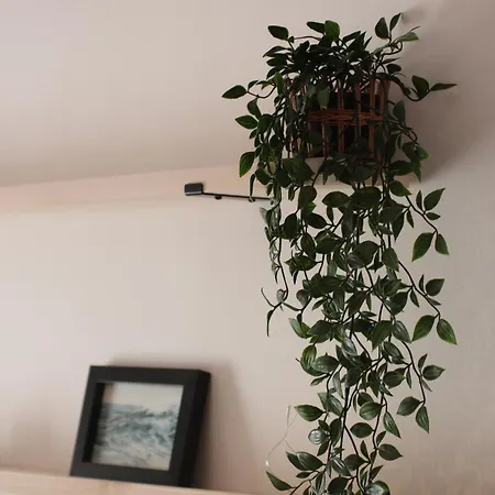 Apartment Comodo Piso En El Pirineo Aragones *