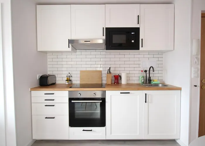 Comodo Piso En El Pirineo Aragones Sabiñánigo