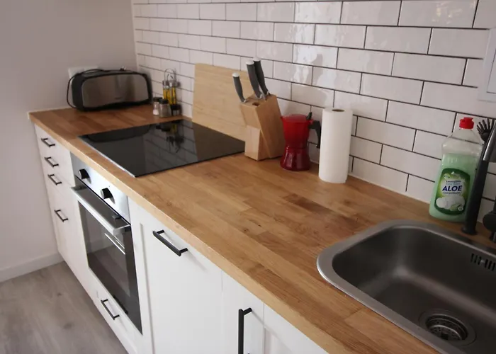 Lägenhet Comodo Piso En El Pirineo Aragones *