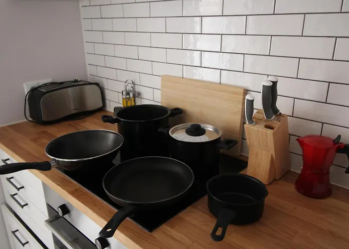 Comodo Piso En El Pirineo Aragones * Sabiñánigo