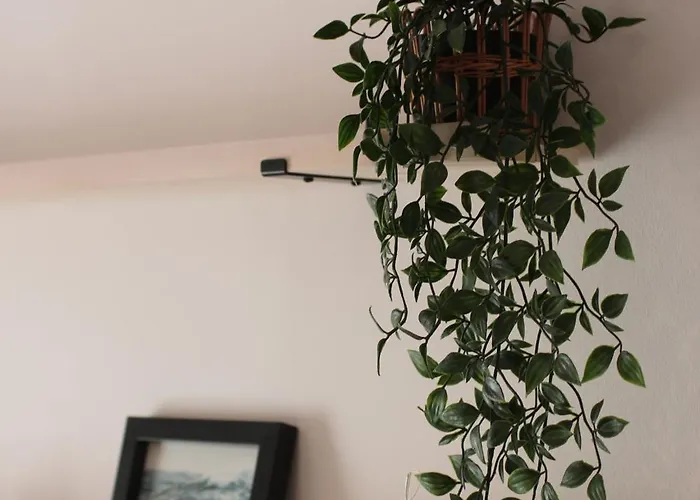 Lägenhet Comodo Piso En El Pirineo Aragones *