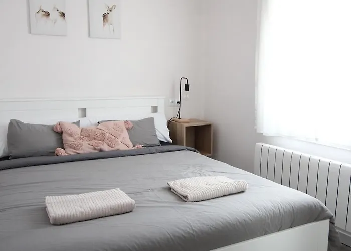 Comodo Piso En El Pirineo Aragones Sabiñánigo